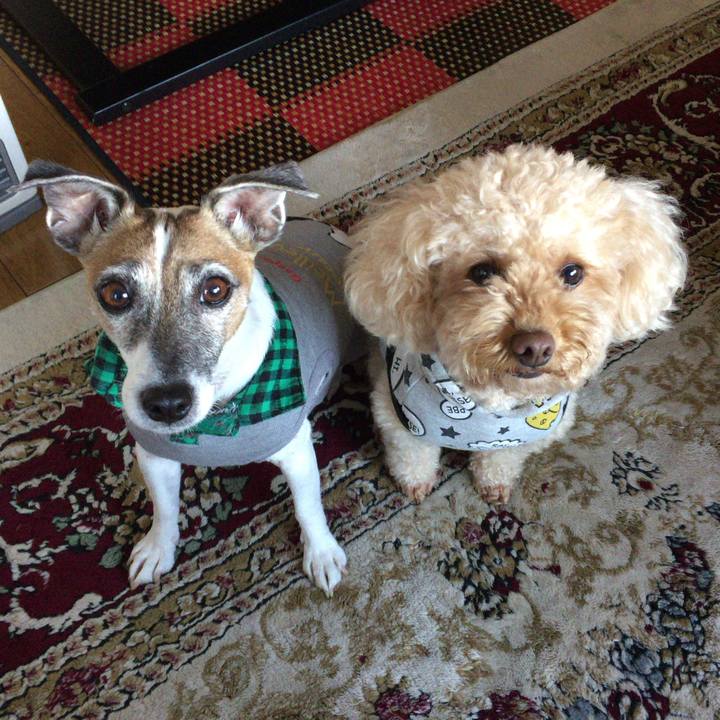 484f302d 1719 43dd 94ed 15ff3d5ef580 1521631864192