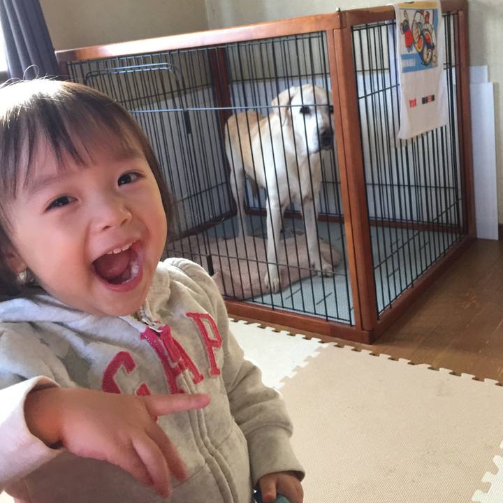 484f3e27 3af5 4e00 a6a2 3a5ff34d134c 1543734358699