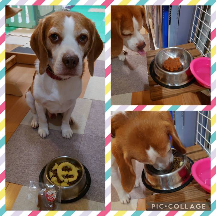 484f3e55 ddd3 4bc6 84f7 628c4d59e483 1693012696403