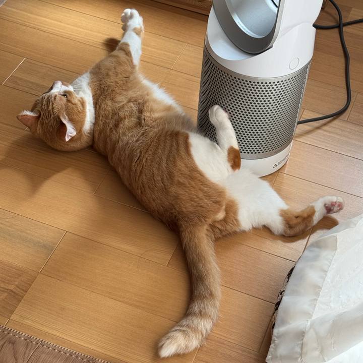 484f8662 72ab 4013 9493 dac00a5cfa0d 1757674960671