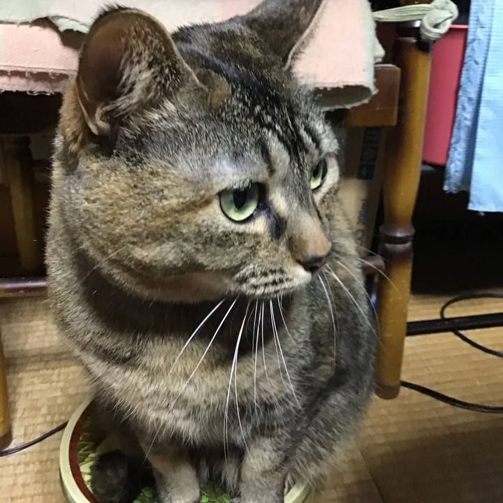 484fb18b b922 4a8f b033 93ea2fca47a4 1707383950744