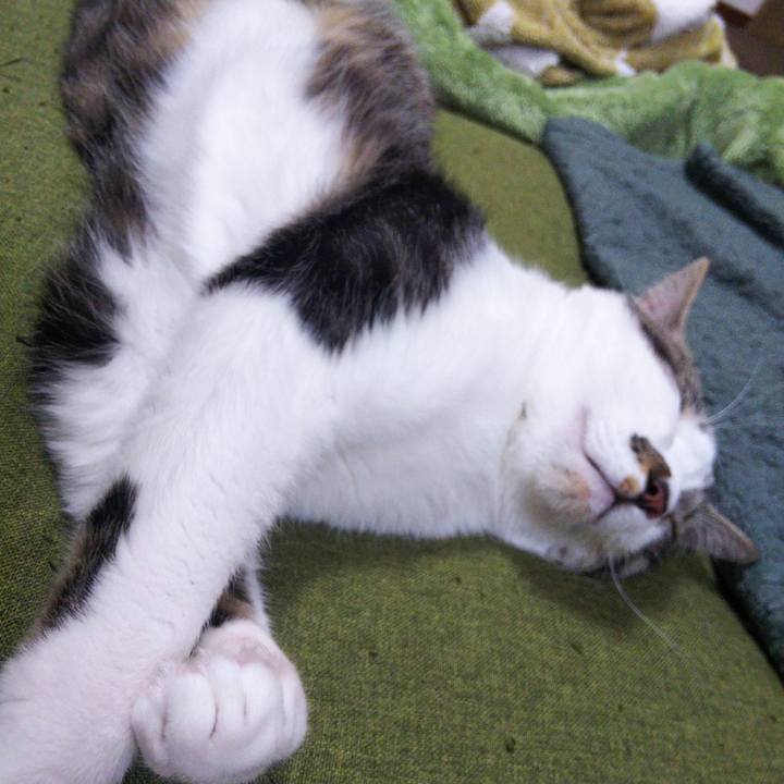 484fc754 dd94 47bf 83c3 4e961b9fa1eb 1647325942409