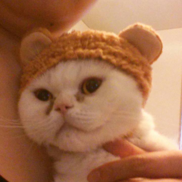 48501433 61c5 4fa3 9331 92304b3146c9 1532826678871