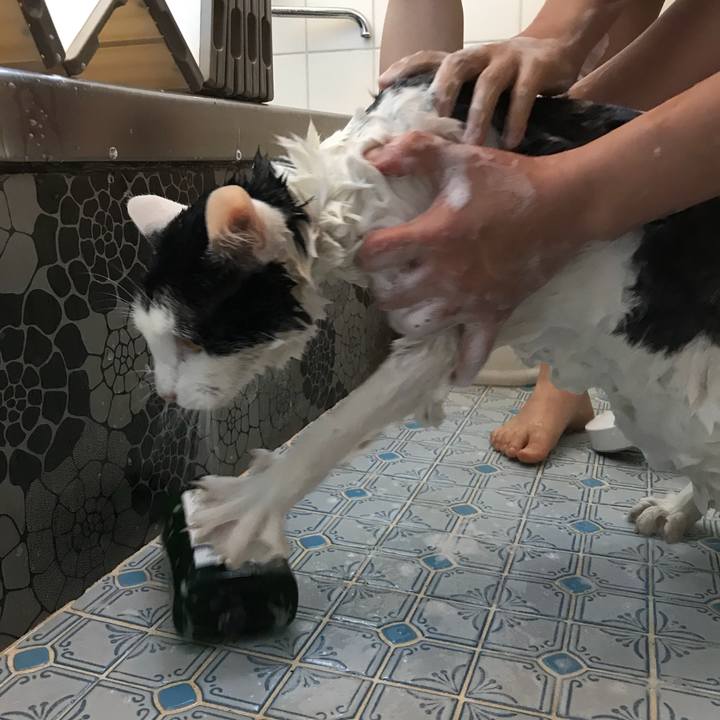 48502772 ab8f 4f60 aba3 d3488eb0262d 1514619960892