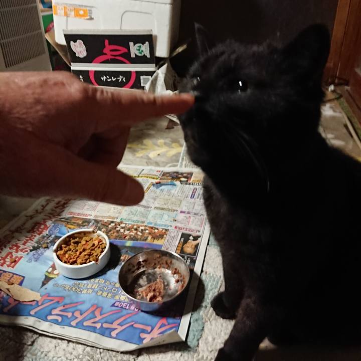 48503ab2 1693 493b b367 94aa305aa936 1650190773559