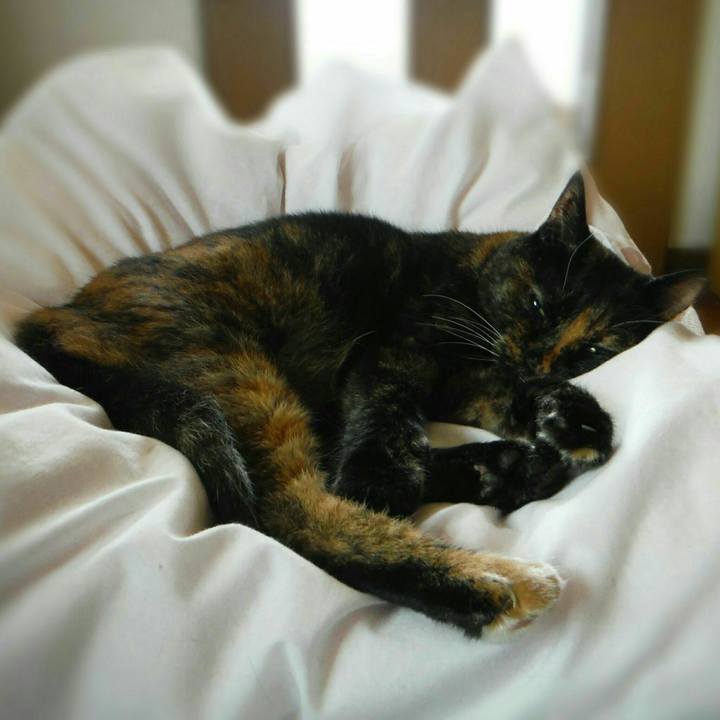 4850543a 1066 4d6d bda3 3dd8a07e4601 1568000621222