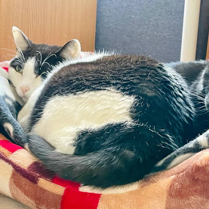 48509cac 44ff 4c52 ad2d e3dfdce938c7 1622427803977