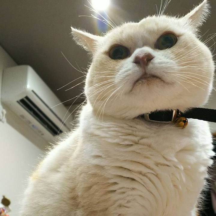 4850a021 a309 4bd6 85b7 edf146d3d795 1515509202278