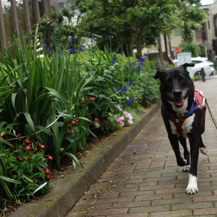 4850d2f7 2d7f 44fb 9aae f92bba7da922 1687480526573