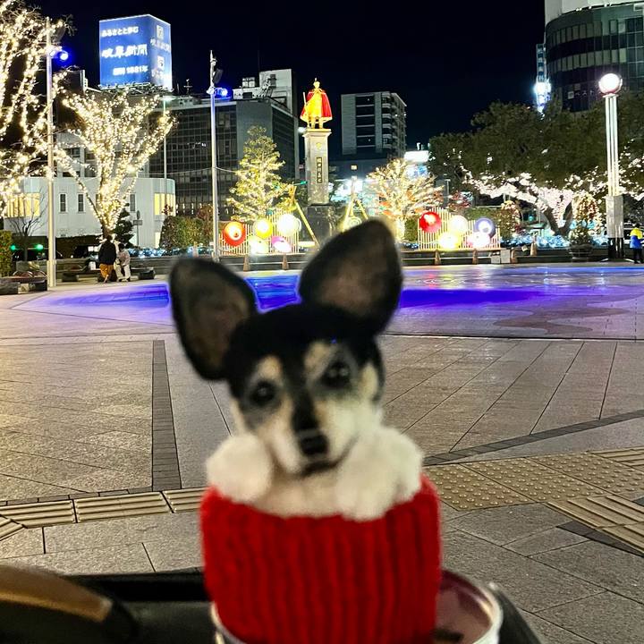 485100d1 b59c 4441 94cc 3dfd4a97e15c 1672753458459