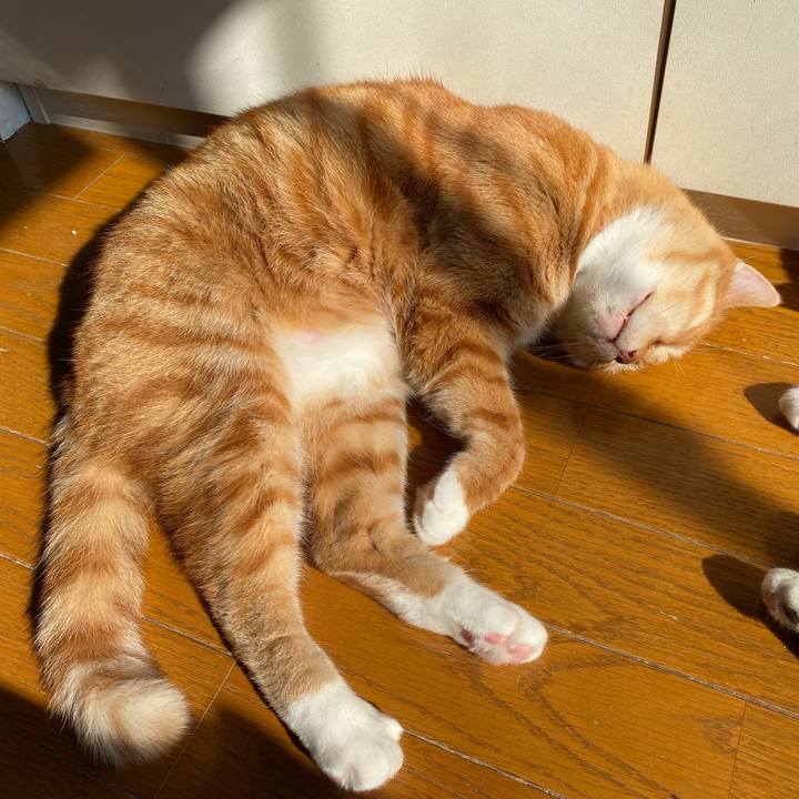 485101e8 48cb 4a3c a84e bd10772f3af4 1580702920466