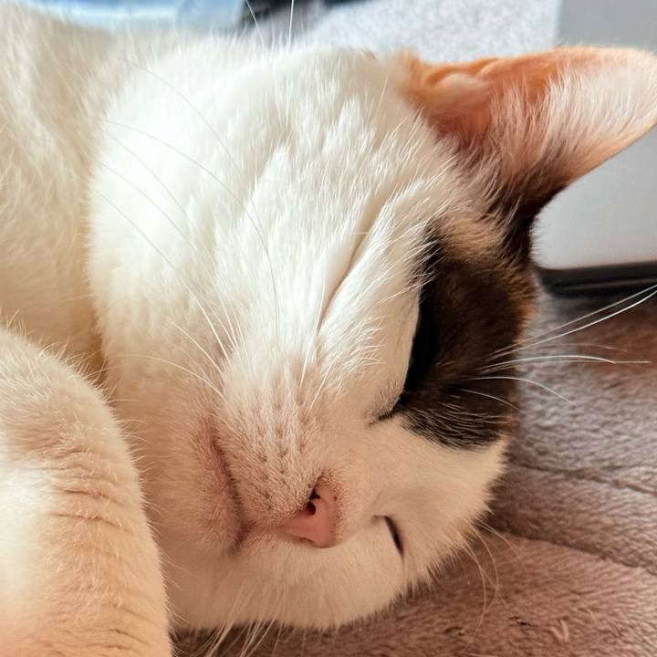 4851255a a292 48cd a3f1 926ed5496311 1741397172992