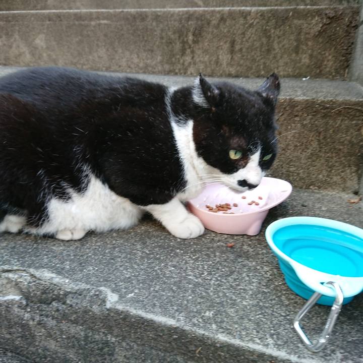 4851547f ecee 47d9 8cca fea1c6a4c51b 1531661644528