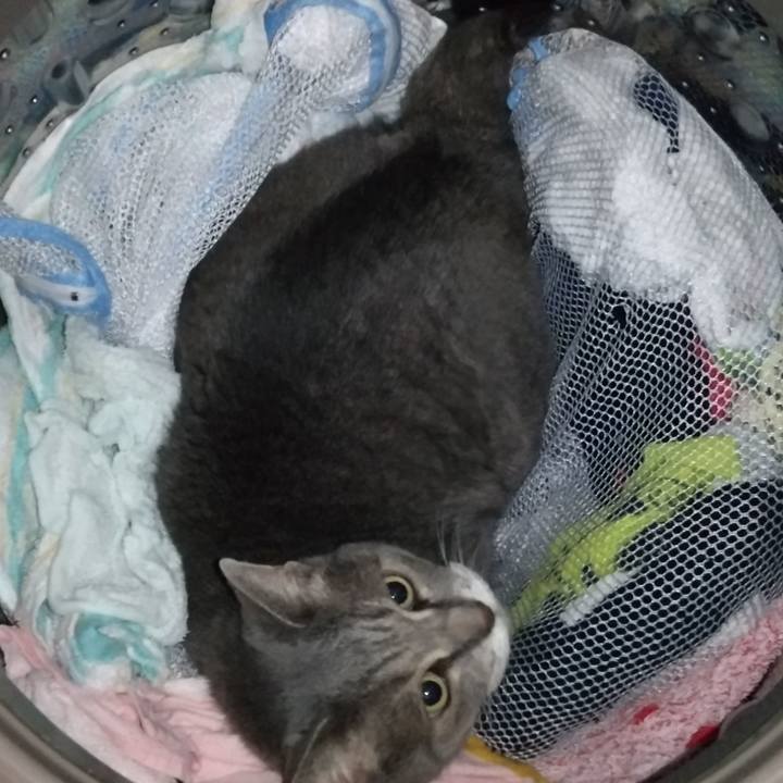 4851572e bf1a 4ac3 b4f7 69ab01a7b865 1628158924272