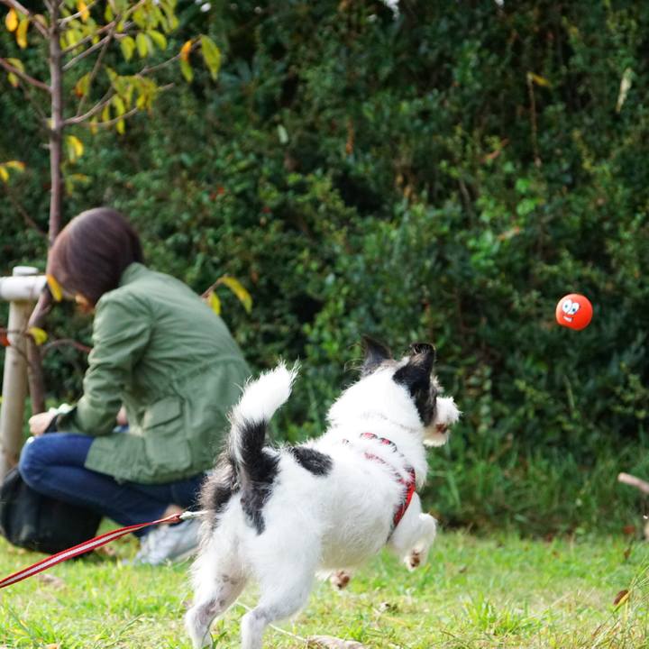 48515aad 4b01 4a32 9f79 cb994bc07ac8 1539597432746