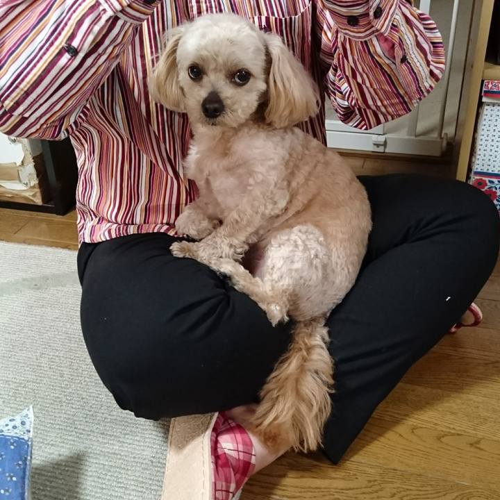 48515b54 40a0 4679 ac90 8f0d4a6737ad 1560051303304