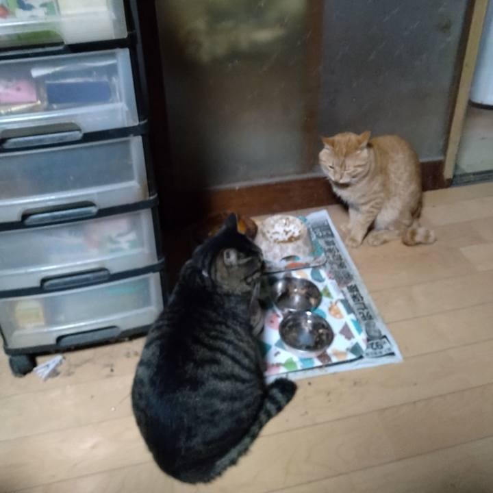 485173a5 3145 455f 8931 57af36024a69 1667167714536