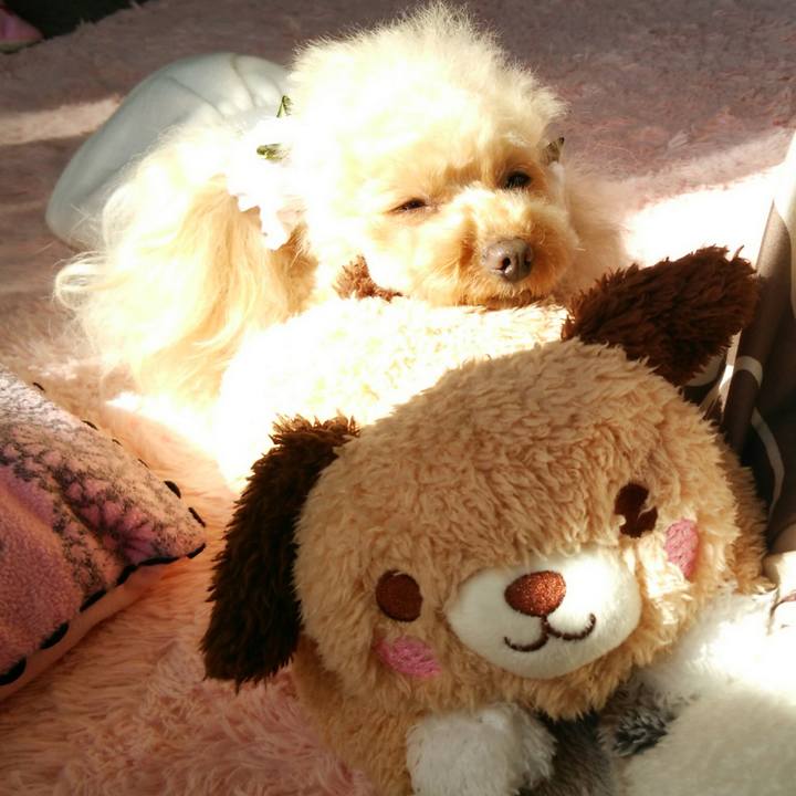 4851753b b113 4eb5 9d5f 7c04a86400f3 1551763216995