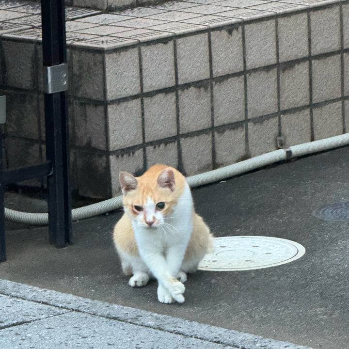 4851f1f3 8f96 42e5 99b8 b4b13a171069 1757990293306