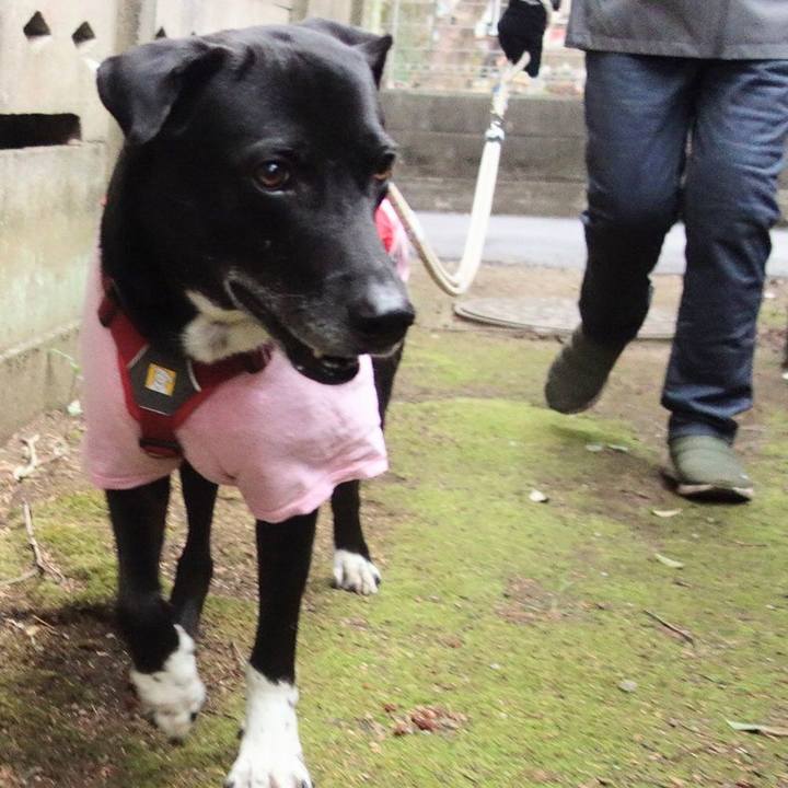 4851f99f d42c 439b a16a 97891c7385cf 1673656654086