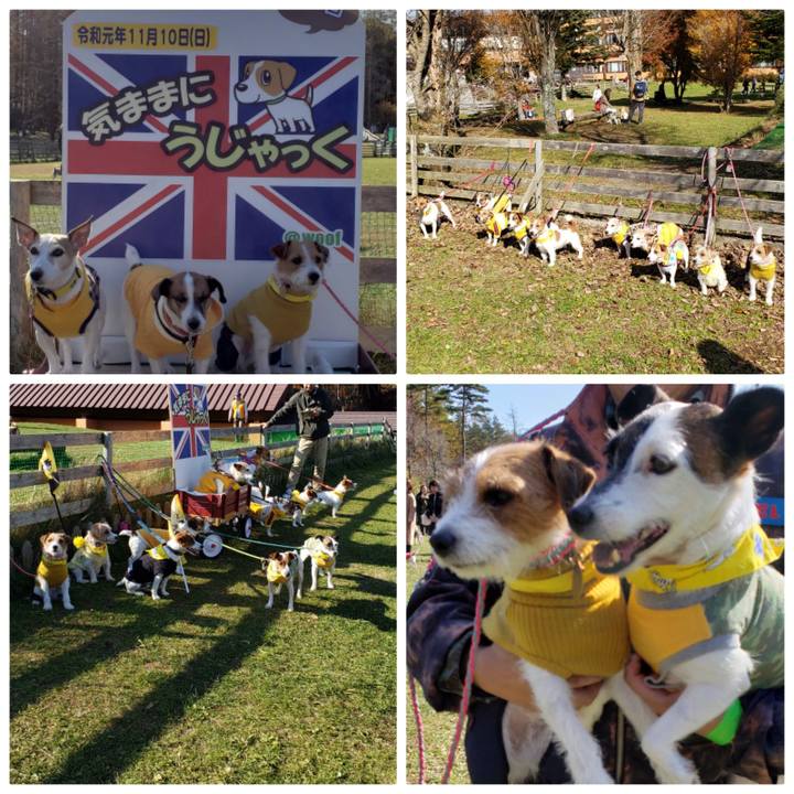 4852108c a875 40a0 a12a 5a1f291e14c6 1573428980326