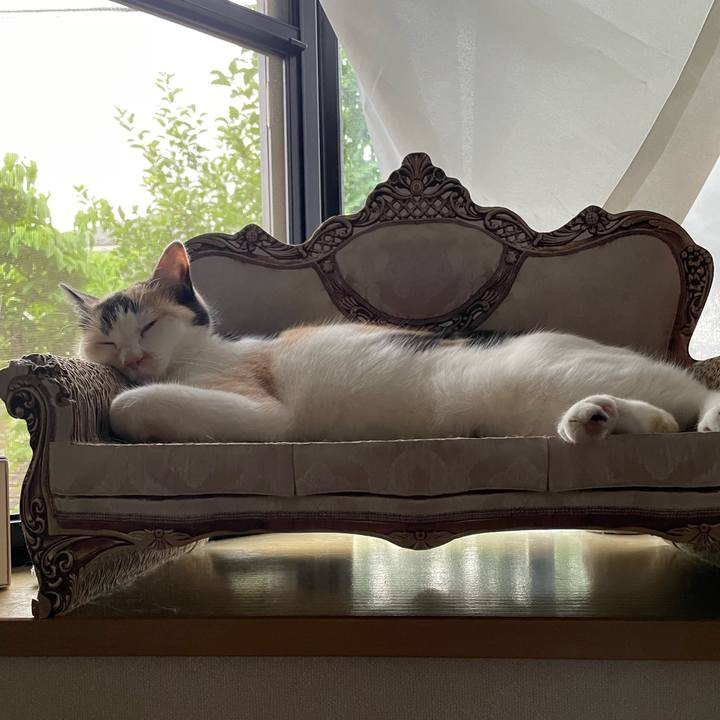 485284a4 343c 4a02 8007 8d9a3318415c 1718612872020