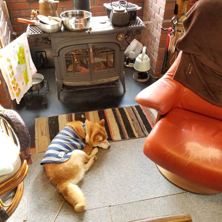 4852a93a aa1b 45f7 925e 429811a47f01 1582071640400