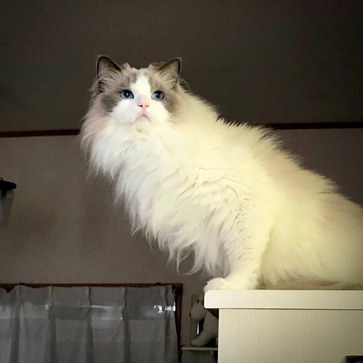 4852cd57 87b4 4e32 99bc 1e5c168c521a 1609251932487