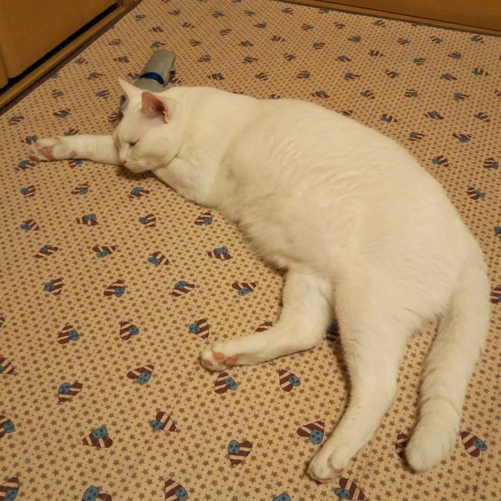 4852e49d d42a 49c8 9027 00f1dd2a428f 1529324566342