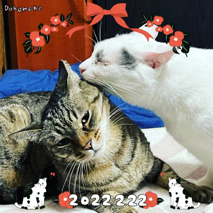 48530168 d923 4ff0 89bc cd9ca17f08e9 1645514954572