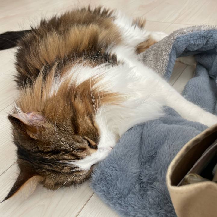 48533621 bdbc 406d 827a 92ecdf45ee4d 1673142239333