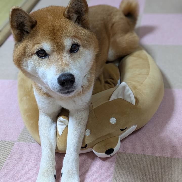 485363e7 3c6e 4a55 9e1a 90575d4a7273 1772098152498