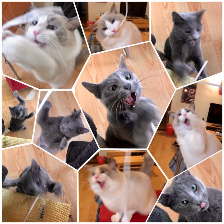 48537314 b0f6 466e 903f 2c07a6f46645 1603943245854