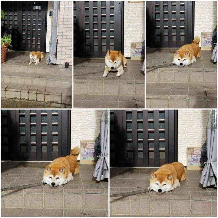 4853ad9b f76c 4cdb af0d 467d186ce0a5 1561709854891