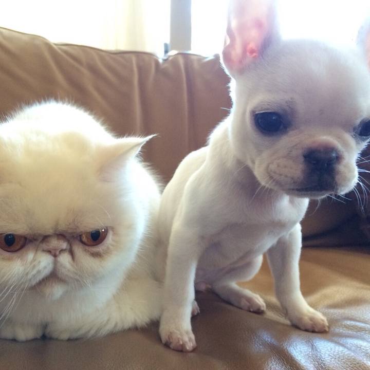 4853c80e a21a 42b9 b41b 0eafadfe8789 1597589559434