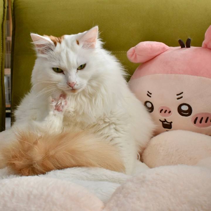 4853f25e bbeb 4072 be95 5cd8312dcc1f 1768362166213