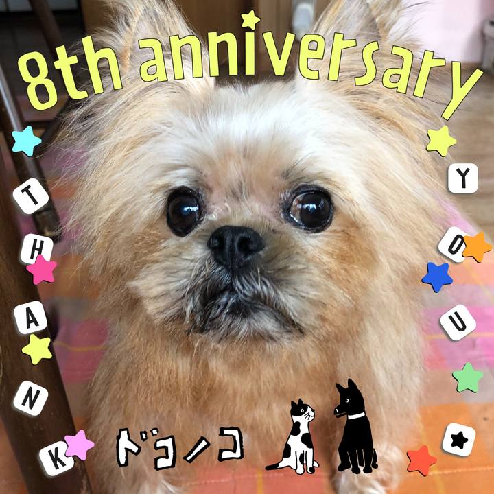 485413cd 86b0 4510 993a cd32694be48e 1717557808706