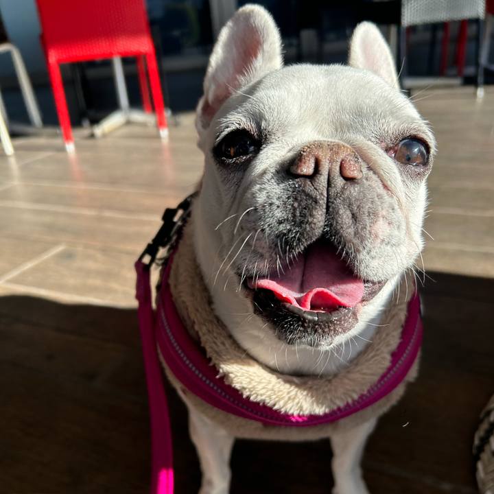 4854670c 86b0 4111 8f0c 0889ed0e461b 1701655995151