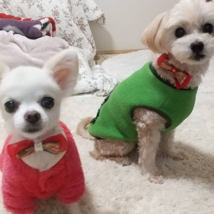 485468dd cc05 41c0 b820 4f00c8c97bb0 1577020896409