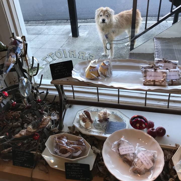 48546fe4 5195 4466 8801 2cdd4a084fb5 1575440481371