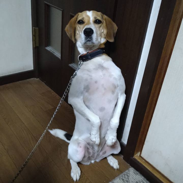 48547091 2e93 4421 9fff ec60d18a016d 1628842030411