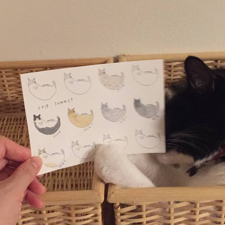 4854848e b75d 4cc8 8530 5878c92dc236 1532357706648