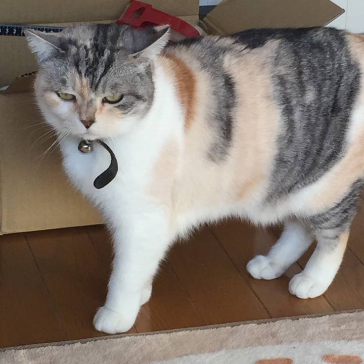 4854a0bd ee16 4b0e 952b c137fddc77f0 1550732042687