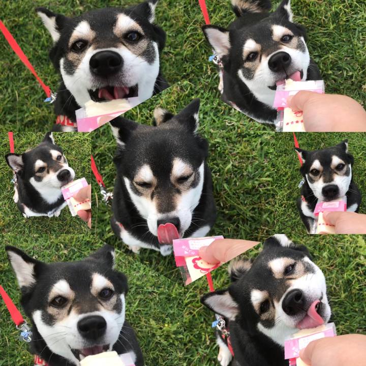 4854b188 a745 4819 a653 c4371fa056e4 1522633289733