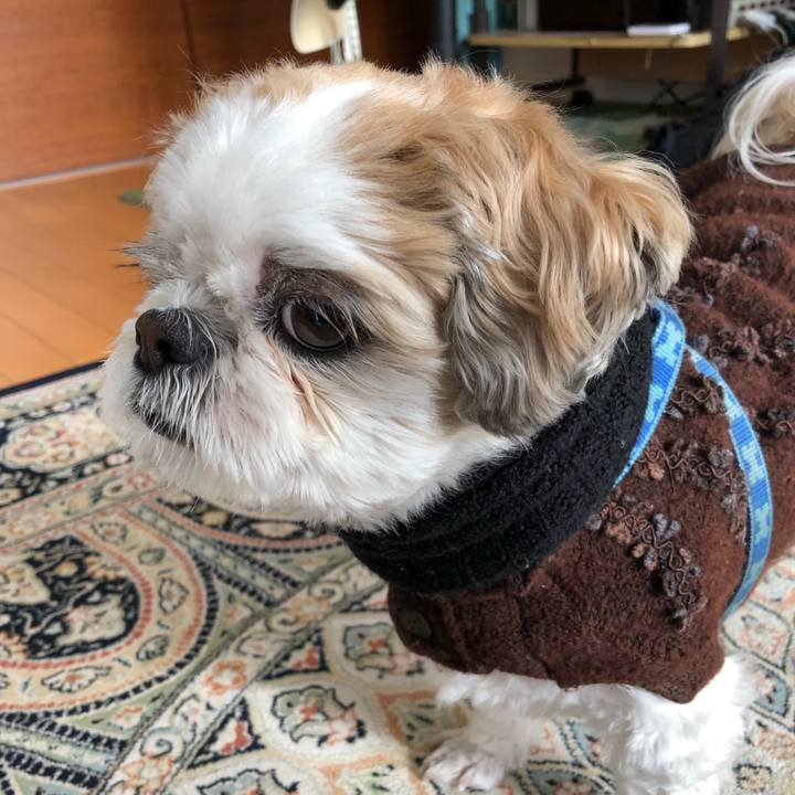 4854d1b6 486a 4bd5 8a78 6b0533a0bd74 1578865918963