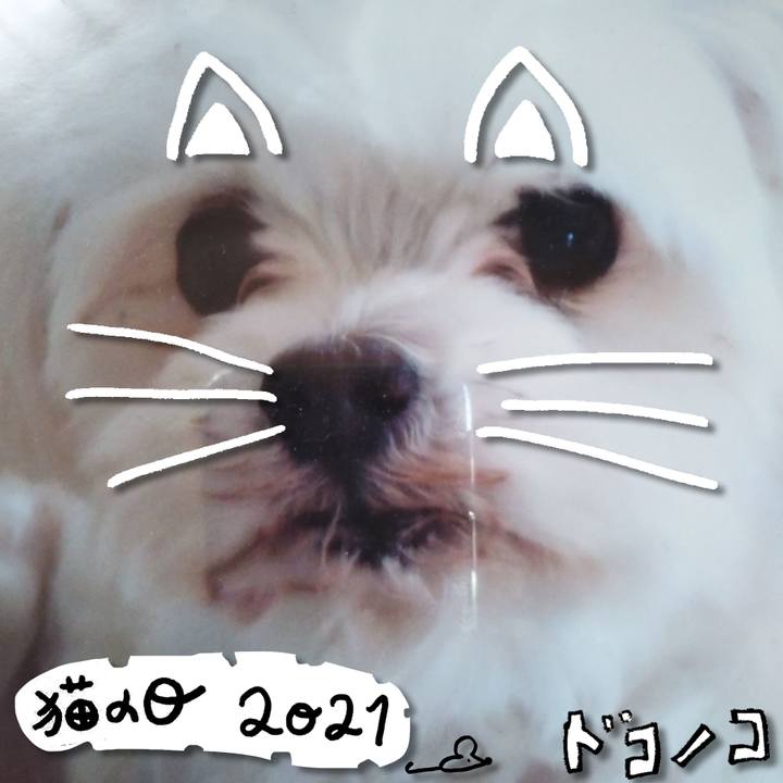 48550724 e030 42d8 9a77 1c4e1f2d3581 1613960306445