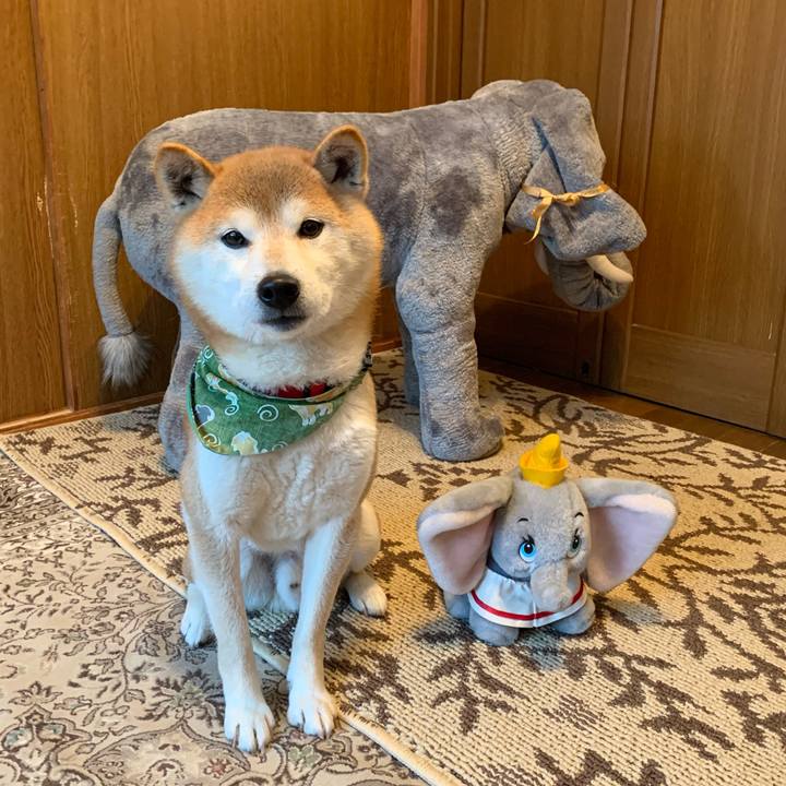 485507a8 b050 4499 873e 2d866d8ddbd2 1611910187075