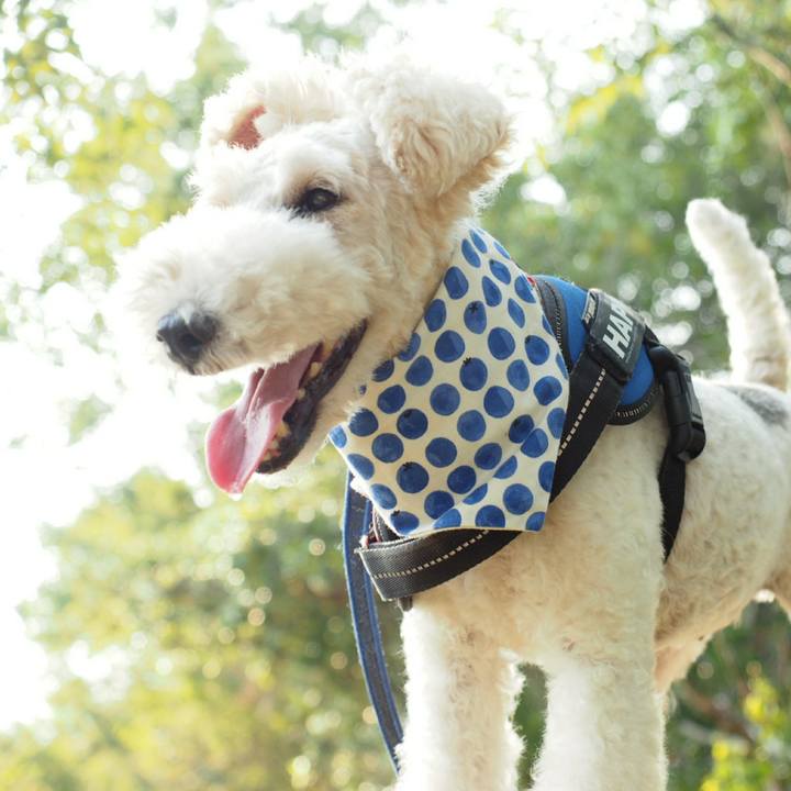 48550c58 42a6 4b48 88b0 35892f1e8fbf 1534386241094