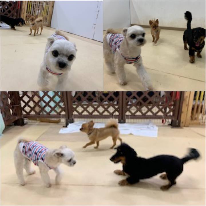 48556372 d889 4e67 bb28 df4af774d755 1570798933255