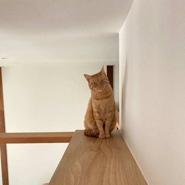 48556f7a e8aa 4271 9b26 86dfbe1c0900 1622001988208